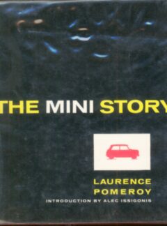 The Mini Story